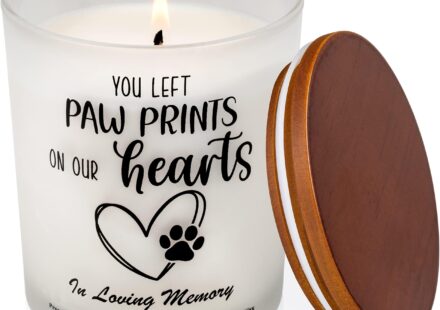 Sky Harbor Suicide Death - What Happened At Phoenix Sky Harbor International Airport?