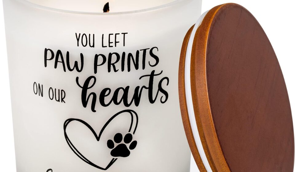 Andrew James Neuberger Motorcycle Accident Minneapolis MN Death Obituary - Andrew James Died in A Deadly Crash